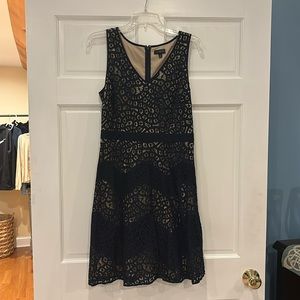 The Limited sheer base dress, Navy Blue, Size 8
